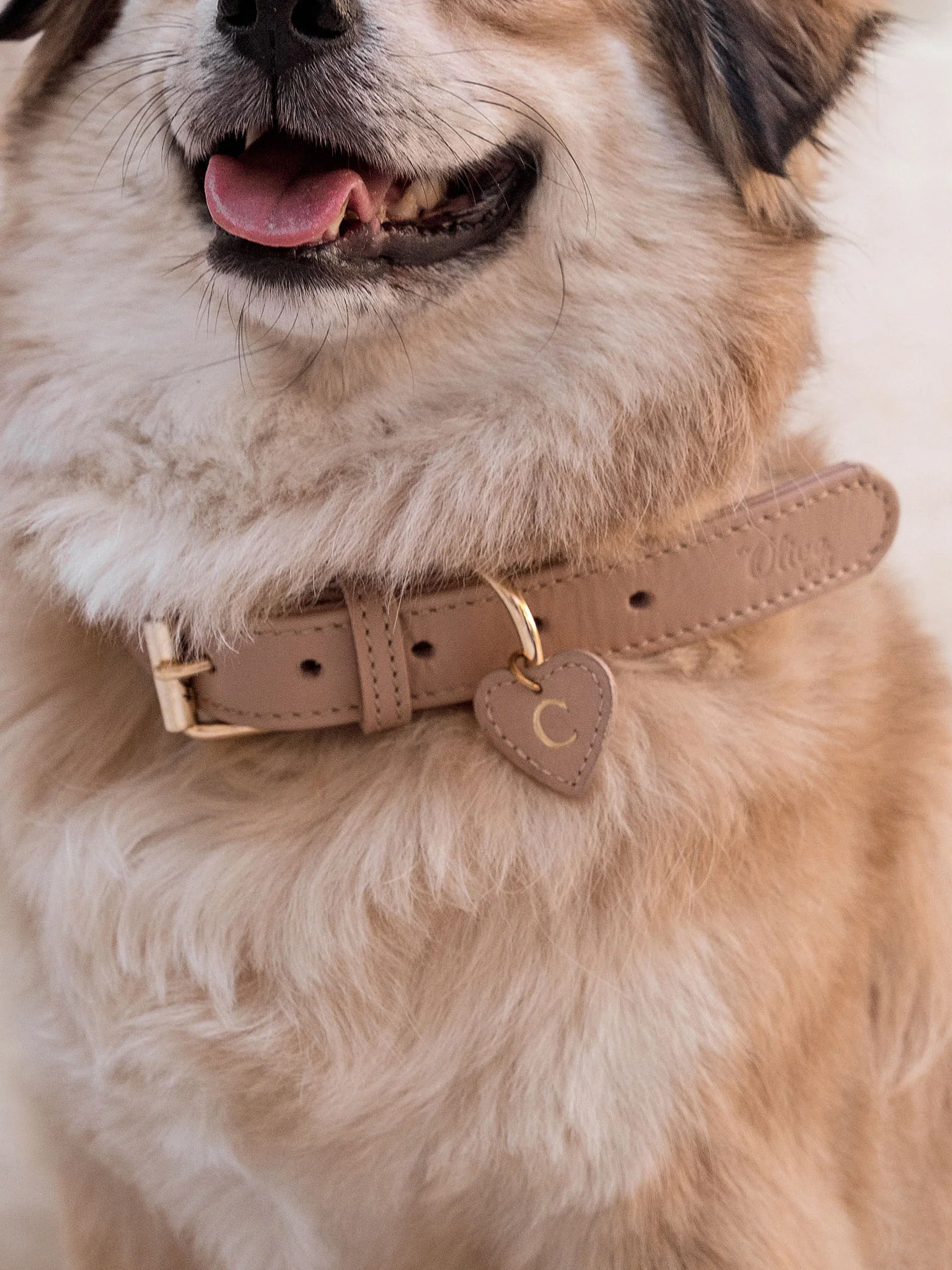 Hondenhalsband Leer Beige - Image 4