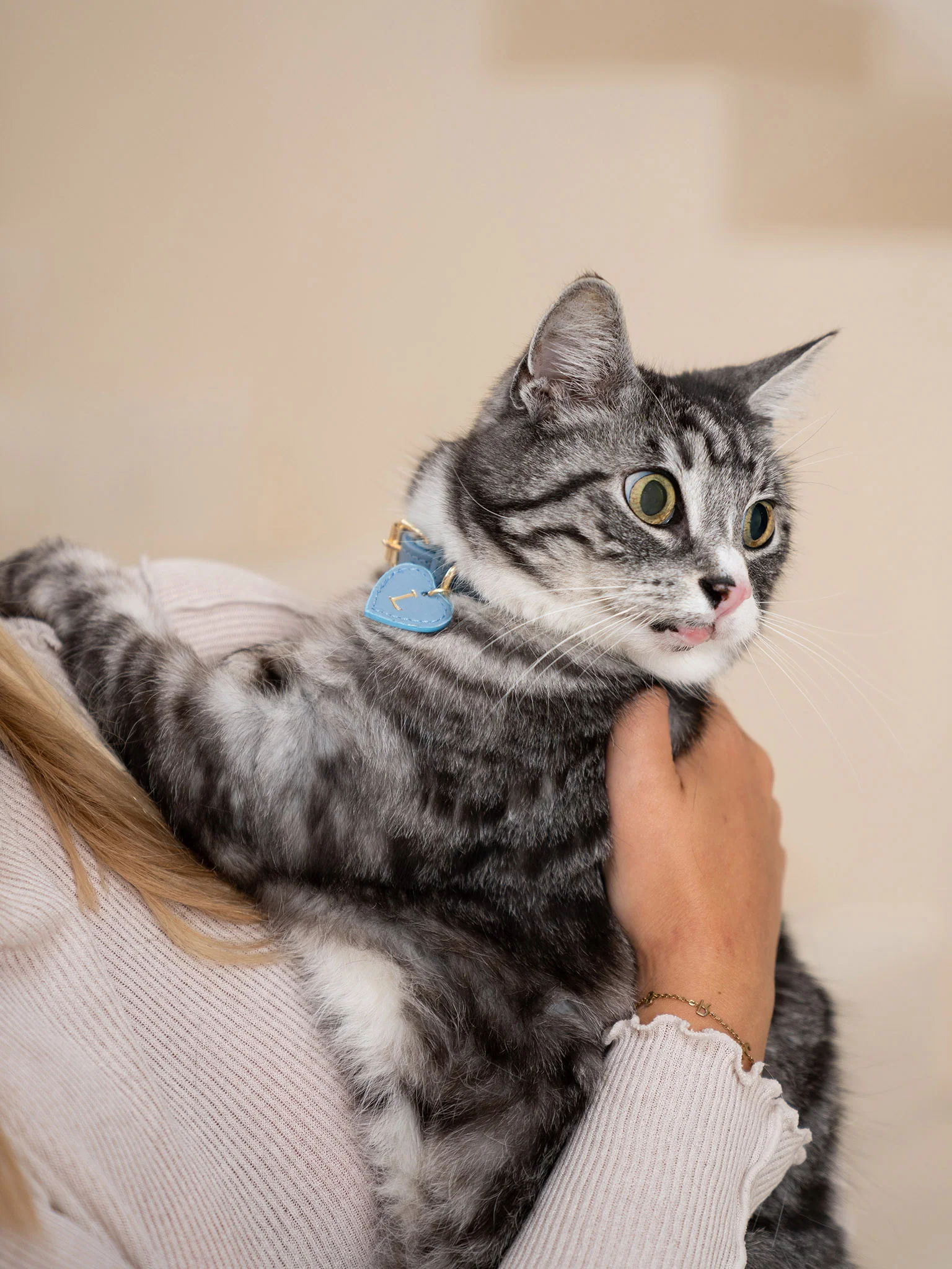 Kattenhalsband Leer Blauw - Image 4