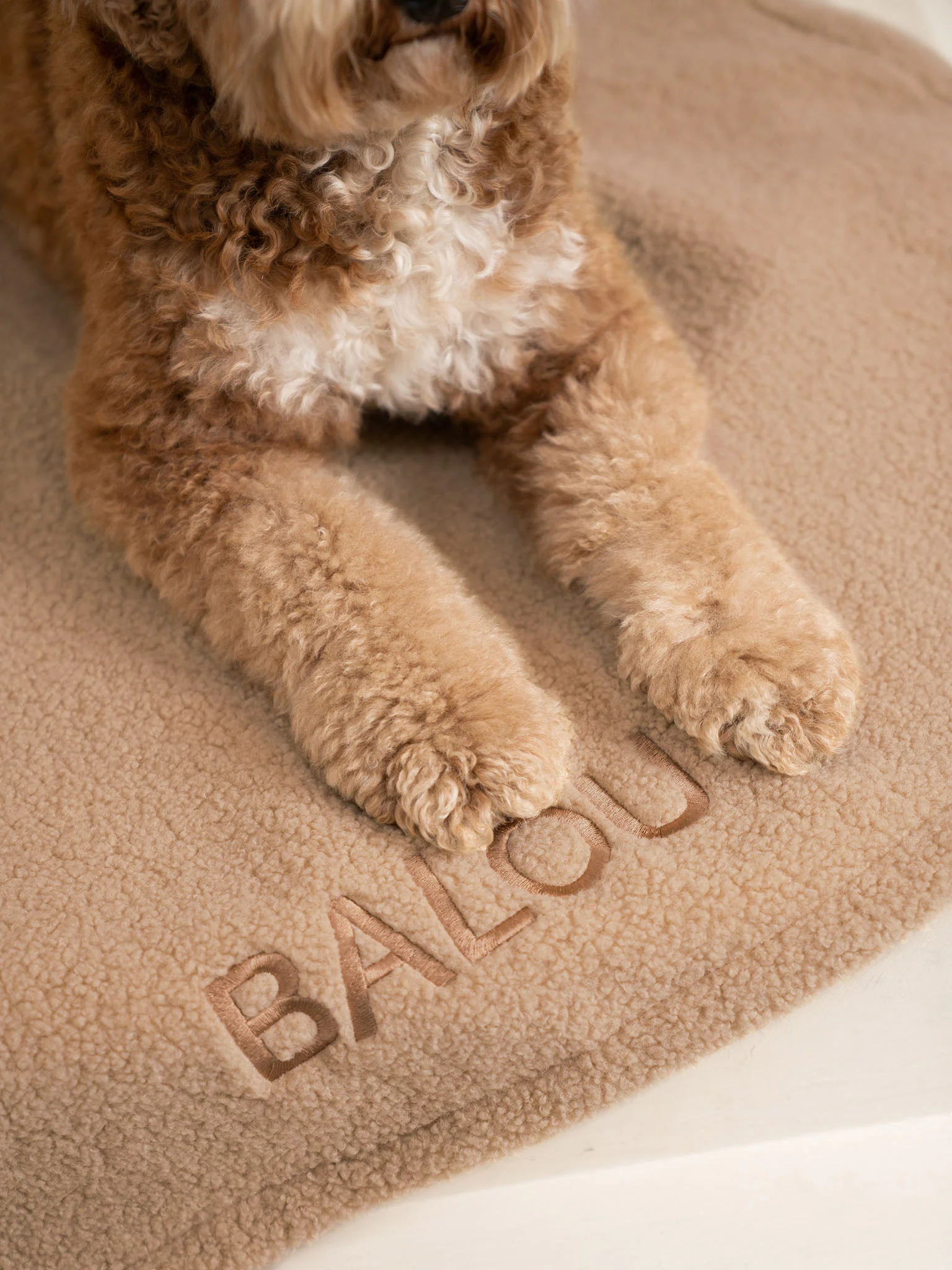 Teddy Plaid Beige - Image 2