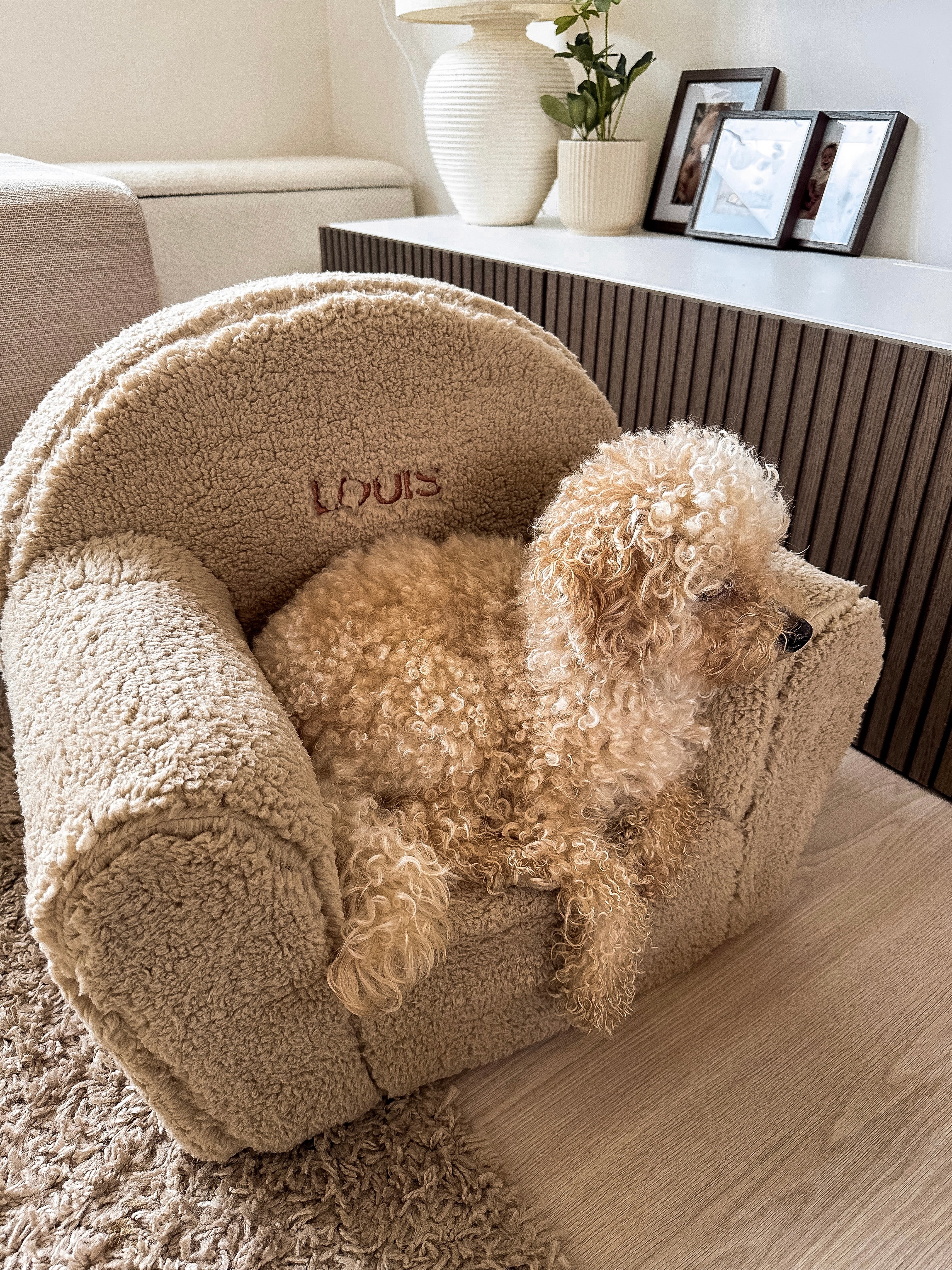 Teddy Stoel Beige - Image 2