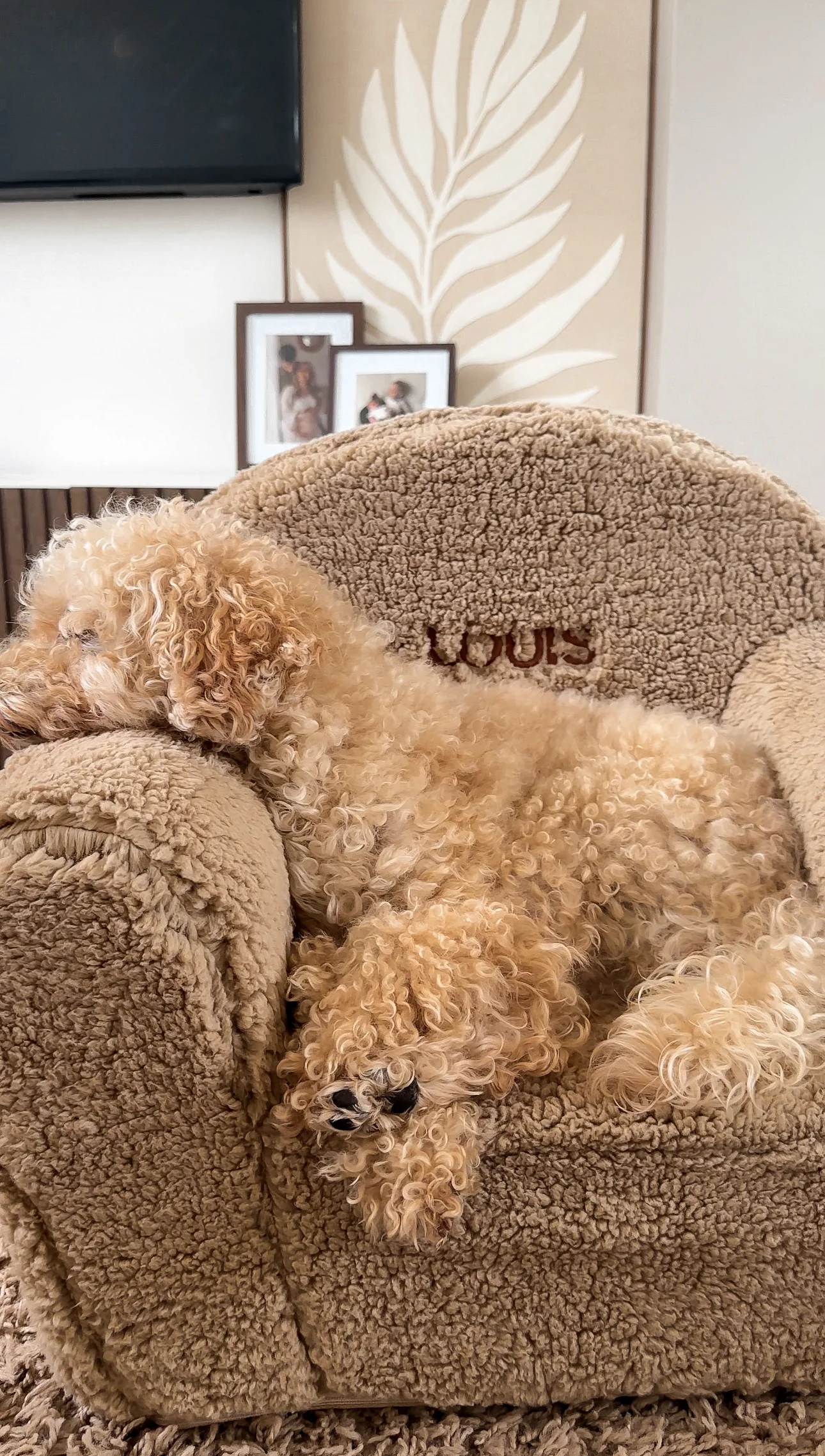 Teddy Stoel Beige - Image 3